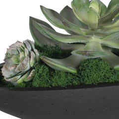 Verde Black/Green Succulent Centerpiece In Bowl - Ornate Home
