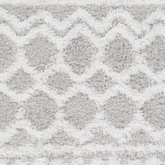 Vernonburg Shag Area Rug - Ornate Home