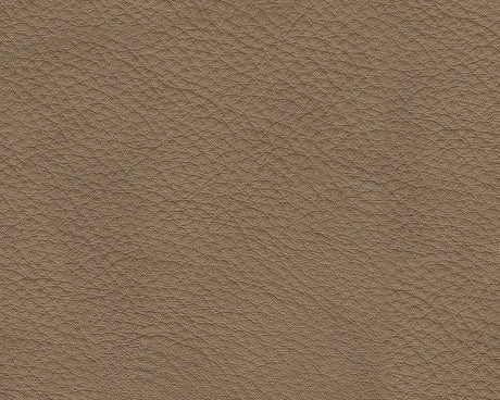 Veronella Sahara 5-Piece Sectional with Right Chaise - Ornate Home