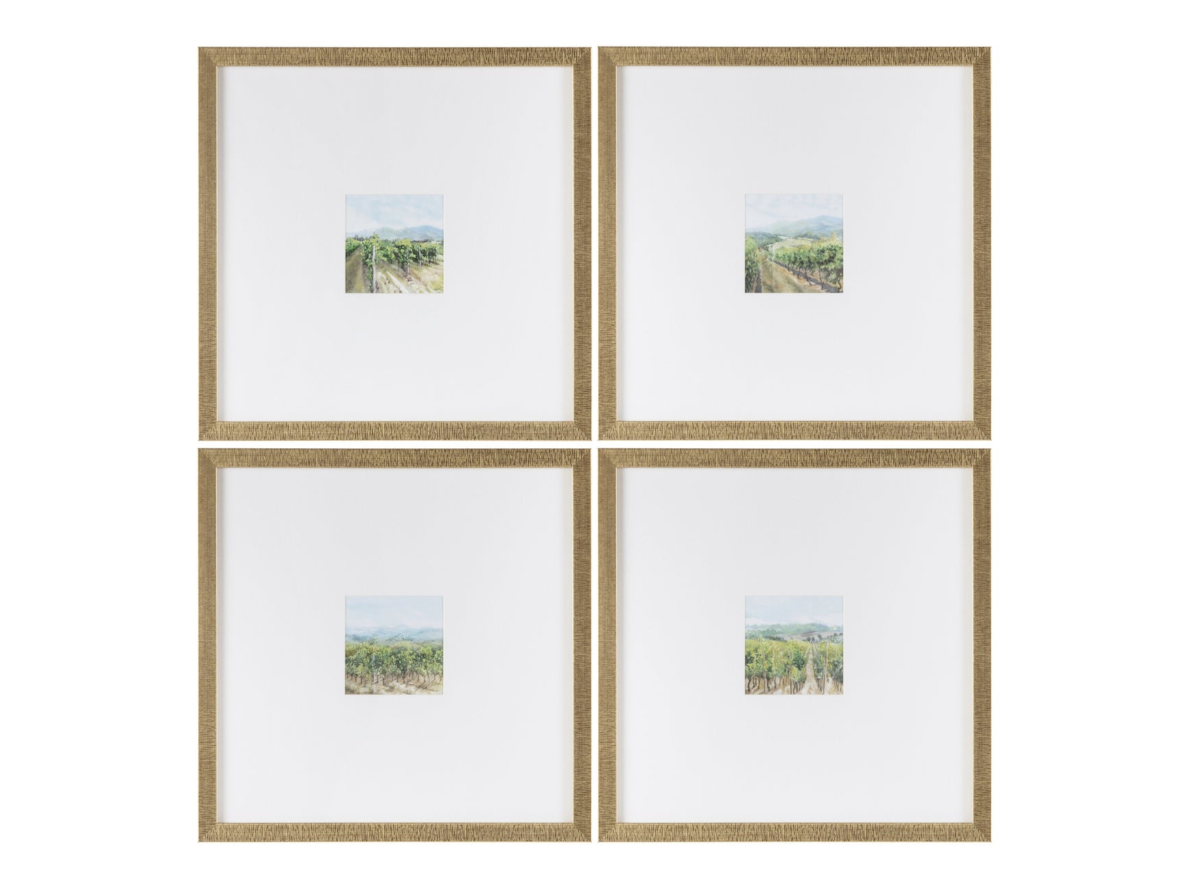 Vineyards Green/Gold Print