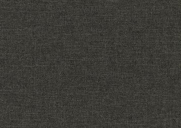 Vining Dark Gray Daybed with Trundle - Ornate Home