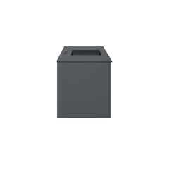 Vitality Gray/Black 48" Single Sink Bathroom Vanity - Ornate Home