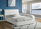 Vodice White Queen Bed w/ Bookcase - Ornate Home