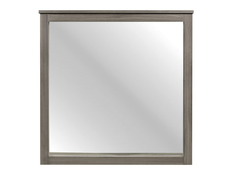 Waldorf Dark Gray Mirror - Ornate Home