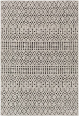 Wallkill Outdoor Area Rug - Ornate Home