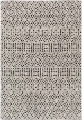 Wallkill Outdoor Area Rug - Ornate Home
