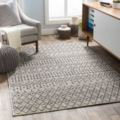 Wallkill Outdoor Area Rug - Ornate Home