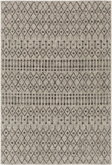 Wallkill Outdoor Area Rug - Ornate Home