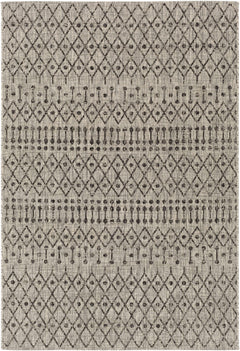 Wallkill Outdoor Area Rug - Ornate Home