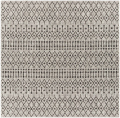 Wallkill Outdoor Area Rug - Ornate Home
