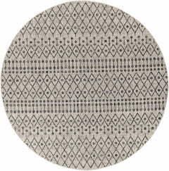 Wallkill Outdoor Area Rug - Ornate Home