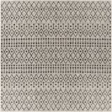 Wallkill Outdoor Area Rug - Ornate Home