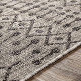 Wallkill Outdoor Area Rug - Ornate Home