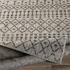 Wallkill Outdoor Area Rug - Ornate Home