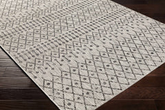 Wallkill Outdoor Area Rug - Ornate Home