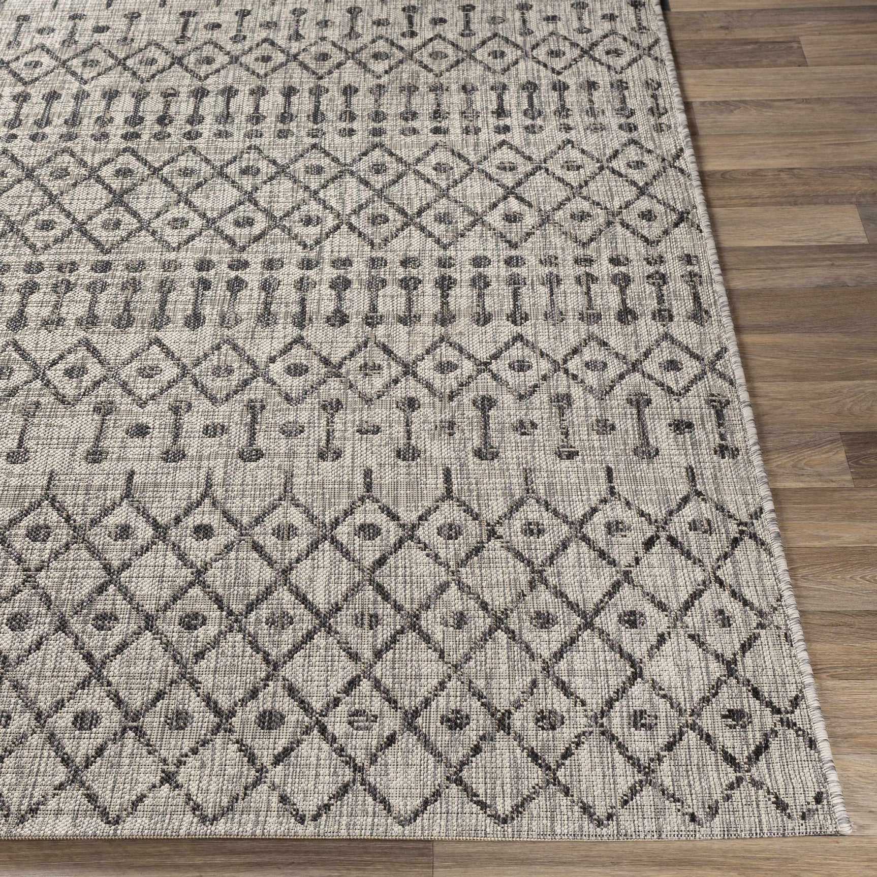 Wallkill Outdoor Area Rug - Ornate Home
