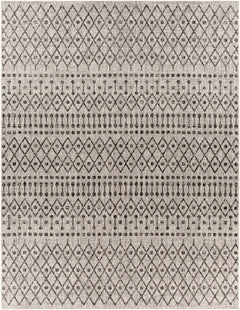 Wallkill Outdoor Area Rug - Ornate Home