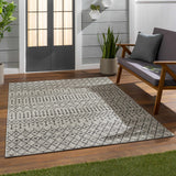 Wallkill Outdoor Area Rug - Ornate Home