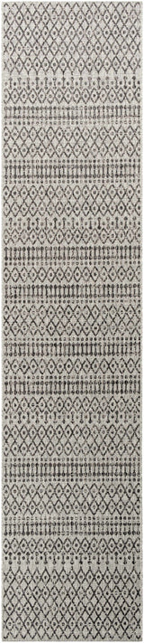 Wallkill Outdoor Area Rug - Ornate Home