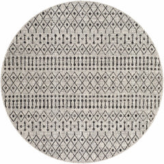 Wallkill Outdoor Area Rug - Ornate Home