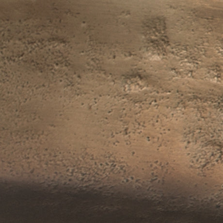 Wallmen Champagne Gold Tray - Ornate Home