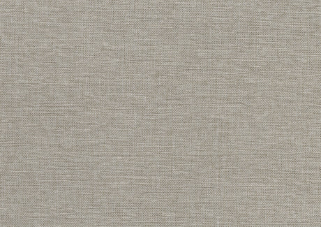 Warner Natural/Beige Counter Height Chair (Set of 2) - Ornate Home