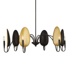 Warwick Matte Black 6 Light Chandelier - Ornate Home