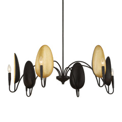 Warwick Matte Black 6 Light Chandelier - Ornate Home