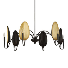 Warwick Matte Black 6 Light Chandelier - Ornate Home