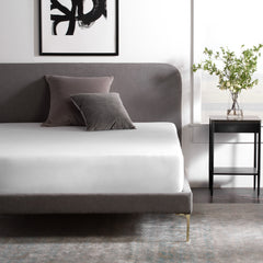Waterproof Jersey White Queen Mattress Protector - Ornate Home