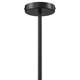 Wave Black Squiggle 2-Arm Pendant Light - Ornate Home