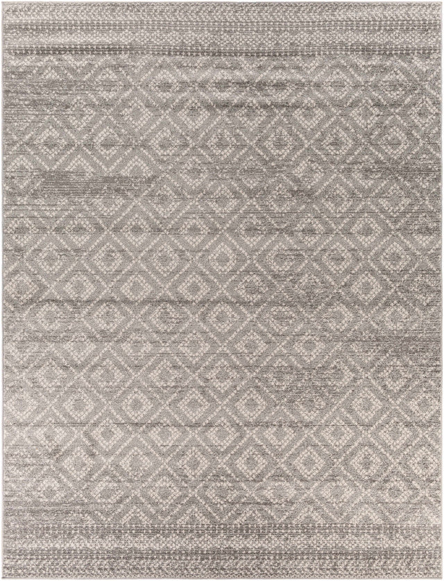 Webb Area Rug - Clearance - Ornate Home