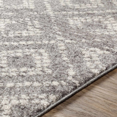 Webb Area Rug - Clearance - Ornate Home