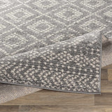Webb Area Rug - Clearance - Ornate Home