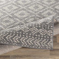 Webb Area Rug - Clearance - Ornate Home