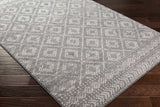 Webb Area Rug - Clearance - Ornate Home