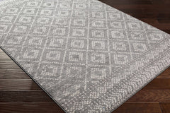 Webb Area Rug - Clearance - Ornate Home