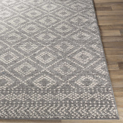 Webb Area Rug - Clearance - Ornate Home