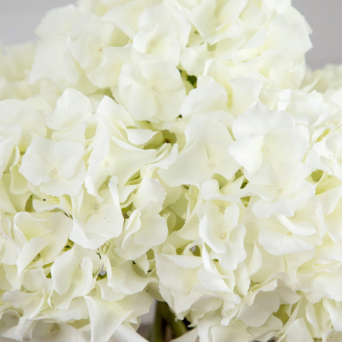 Wedding Collection 14" Artificial Hydrangea Arrangement in Glass Vase
