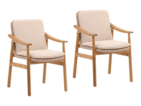 Wembley Beige/Natural Outdoor Dining Chair (Set of 2) - Ornate Home