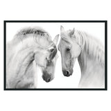 White Horses White Photography - Ornate Home