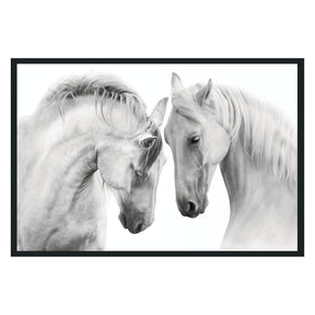 White Horses White Photography - Ornate Home