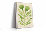 Elegant Green Botanical Watercolor Art Print