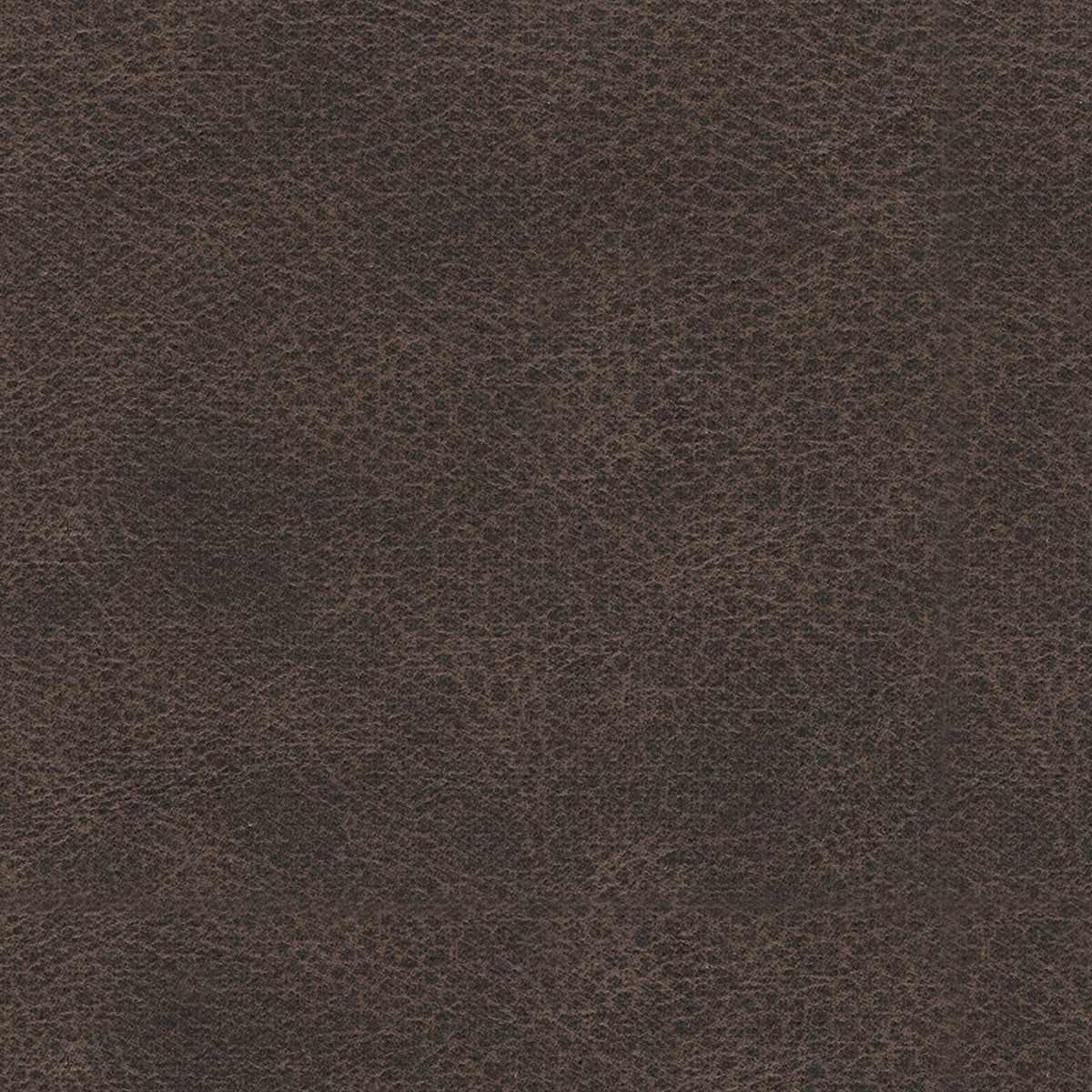 Whitlock Umber Loveseat - Ornate Home