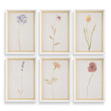 Wild Flourish Multicolor Framed Floral Prints (Set of 6) - Ornate Home