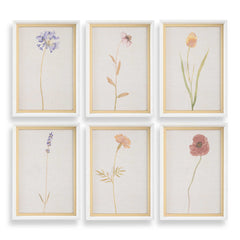 Wild Flourish Multicolor Framed Floral Prints (Set of 6) - Ornate Home