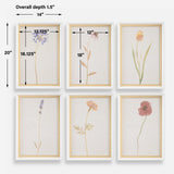 Wild Flourish Multicolor Framed Floral Prints (Set of 6) - Ornate Home