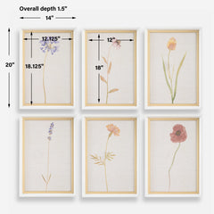 Wild Flourish Multicolor Framed Floral Prints (Set of 6) - Ornate Home