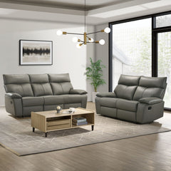 Wildcat Aviarah Grey 2-Piece Living Room Set