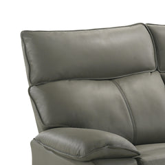 Wildcat Aviarah Grey 2-Piece Living Room Set